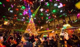 圣诞网红酒店爆料视频,奢华与梦幻的完美融合